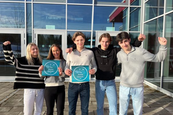 Euronext Blue Innovation Vinner